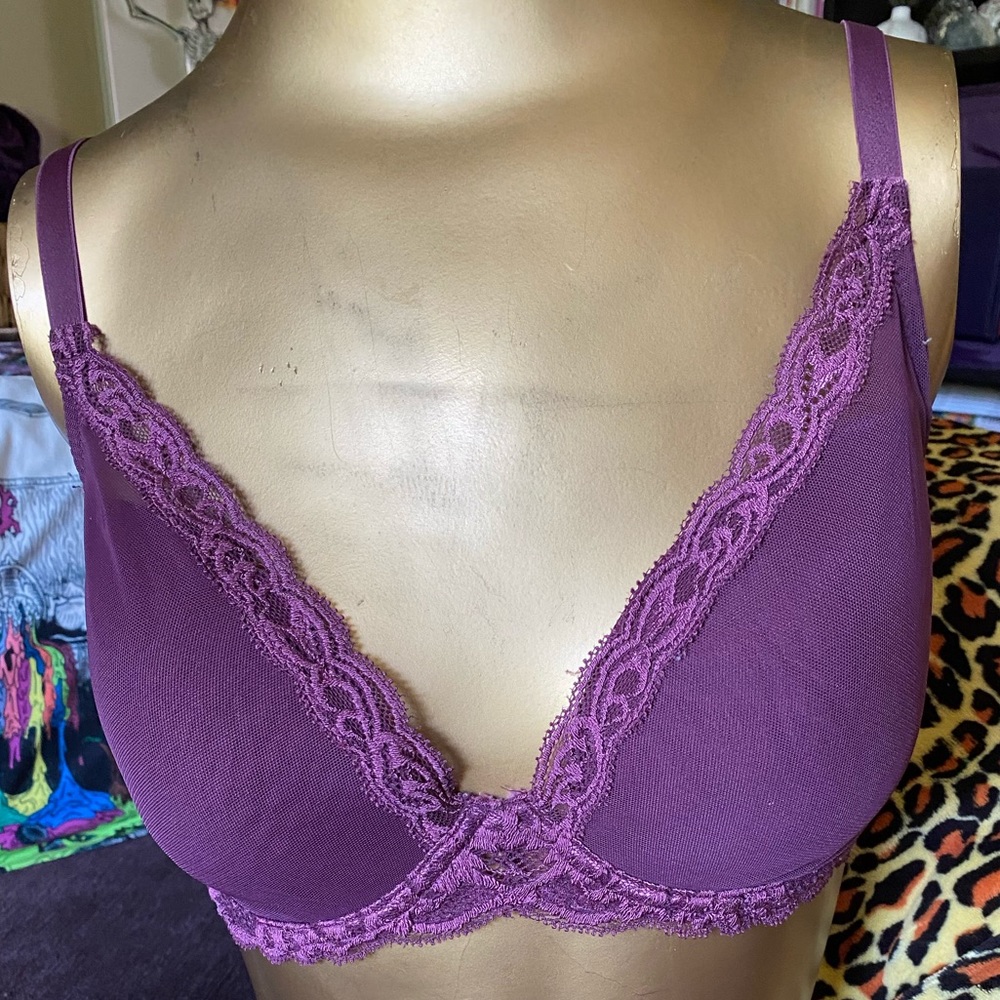 Natori Feathers Burgundy Bra